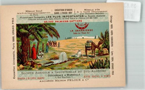 Exposition Universelle Oase Datte de l`Oued Rir Lithographie Informationskarte