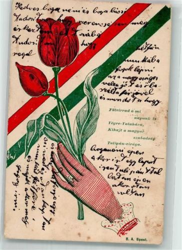 1906 Frauenhand mit einer Tulpe vor der ungarischen Trikolore Blumengrüße