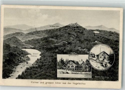 Arberseehaus 1909 sign. Felle, Eugen Vogelschau der Gegend um den Arber mit Arber-Schutzhaus Verlag Dr. Trenkler Co. Hüttenstempel