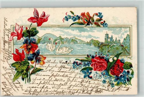 1903 Rosen Vergissmeinnicht Passepartout
