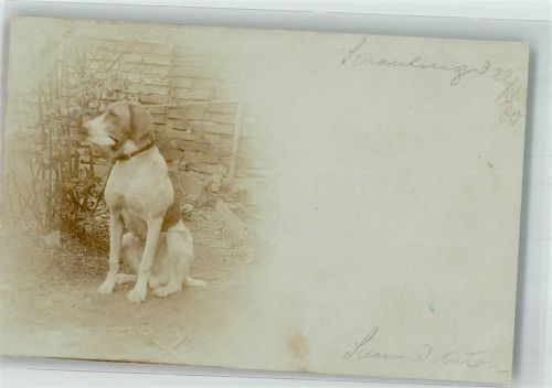 1900