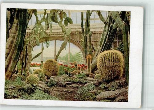 Nymphenburg Botanischer Gartennymphenburg Kaktushaus