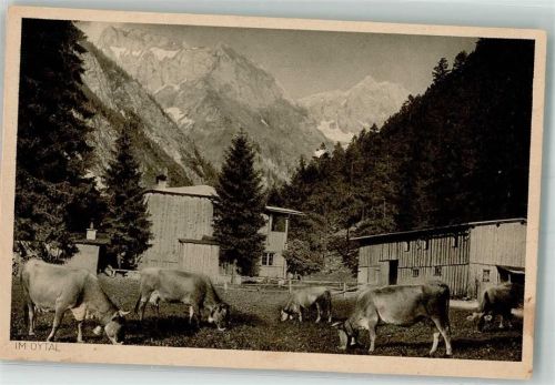 Oberstdorf Im Oytal Kuhherde