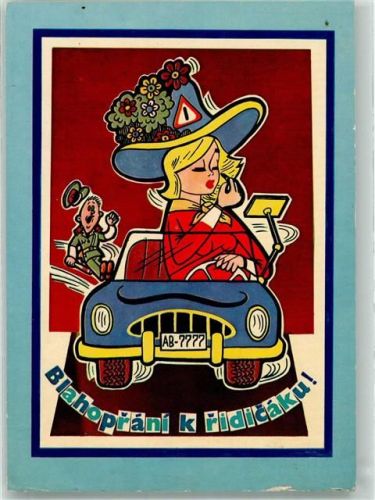sign. Hastaba Stanislav Humor Zum Führerschein Frau Polizei