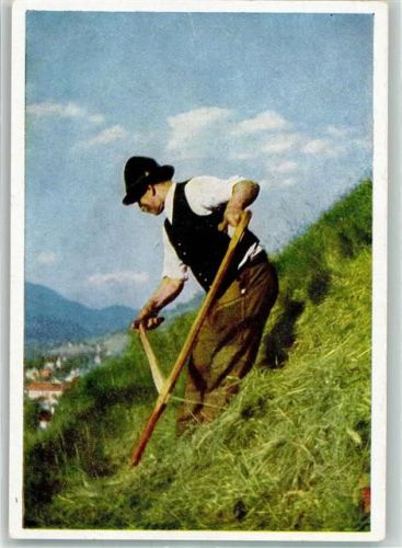 Bergbauer mit der Handsense aus dem Ennstal Heuernte
