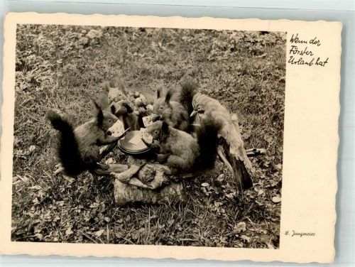 1944 Die possierlichen Tiere beim Kartenspiel Tiere vermenschlicht Fotograf Jungmeier Verlag Wiechmann Nr. 341 Feldpost WK II Breslau
