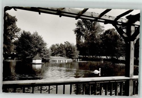 Kandel Schwanenweiher