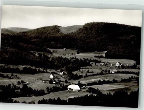 Hinterzarten Gasthaus Pension zum Engel Alpersbach