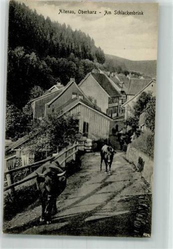 Altenau Am Schlackenbrink Kühe