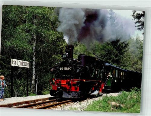 Jöhstadt 1996 Eisenbahn Dampflokomotive Preßnitztalbahn Bahnhof Loreleifelsen Foto Jacobi