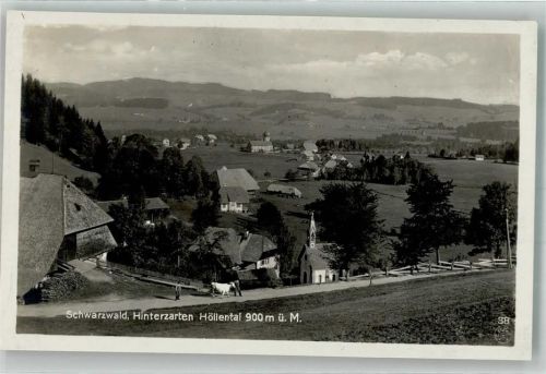 Hinterzarten Kuh