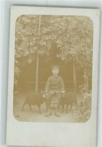 1900 - 1906 Junge in Feldgrau mit Schafe