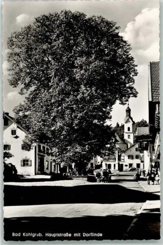 Bad Kohlgrub Hauptstrasse Linde