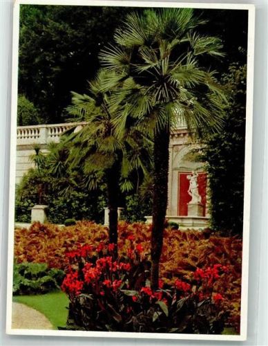 Potsdam Foto Steudel, C.M. Palmen im sizilianischen Garten Sanccouci