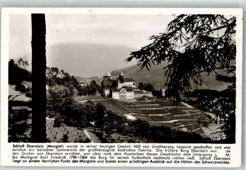 Gernsbach Schloss Eberstein Franckh-Verlag Chronikkarte Nr. 23646