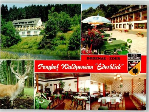 35088 W3559 Battenberg Eder - Ponnyhof Waldpension Ederblick Damwild