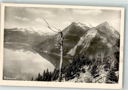 Walchensee Tannenwald mit Bergpanorama oberhalb des Sees Hüttenstempel Notopfermarke