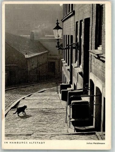 Hamburg In Hamburgs Altstadt Julius Heidmann Katze Laterne