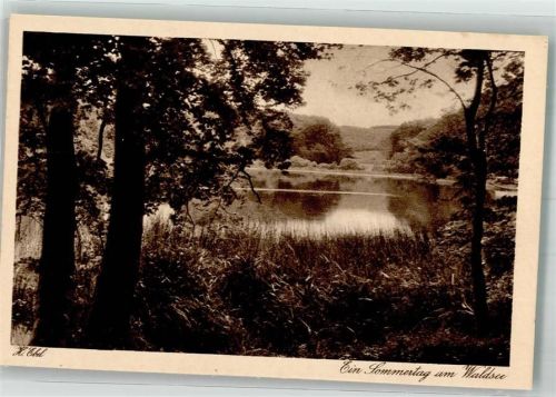 Henstedt-Ulzburg Ein Sommertag am Waldsee Holsteinische Schweiz und Alstertal Fotograf Ebel Ort lt. Recherche