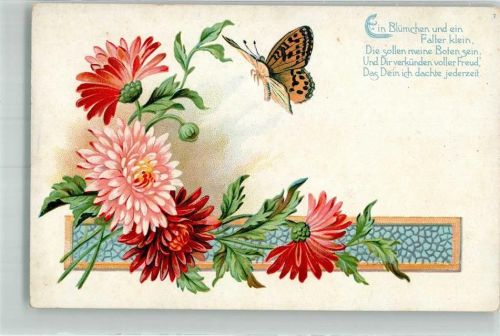 Bunter Schmetterling mit Chrysantheme