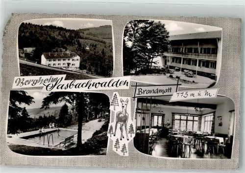 Sasbachwalden Schwimmbad Pension Bergheim Eckschaden Foto AK