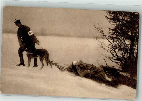 1915 Hund zieht den Verwundeter im Schnee auf den Skiern seines Führers