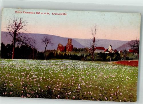 Bad Teinach 1926 Burg Zavelstein Krokusblüte