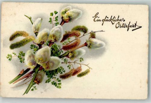 Ostern Nr. 3248 Weidenkätzchen