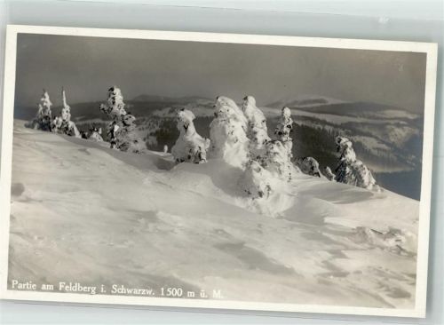 Feldberg Winter