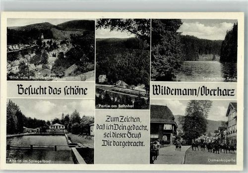 Wildemann Schiffspost Straßenbahn Damenkapelle Kühe Bahnhof