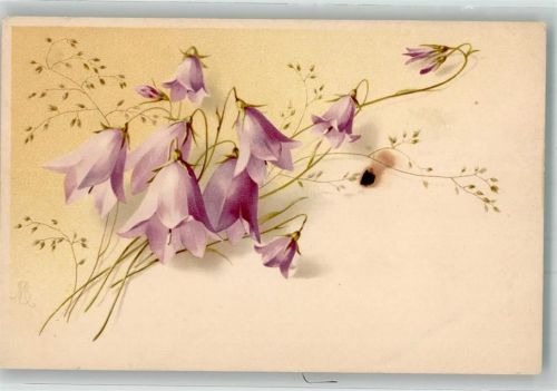 1907 Künstler Postkarten Serie 1407 Wiesenblumen