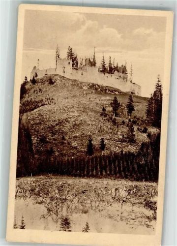 Eisenberg Burgruine Hohenfreyberg