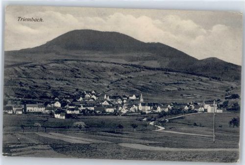 67220 Triembach-au-Val - Gesamtansicht