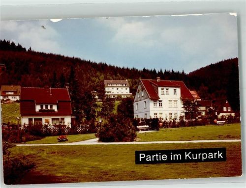 Wildemann Im Kurpark Ort handschriftlich Foto Original aus Archiv eines Ansichtskartenverlags