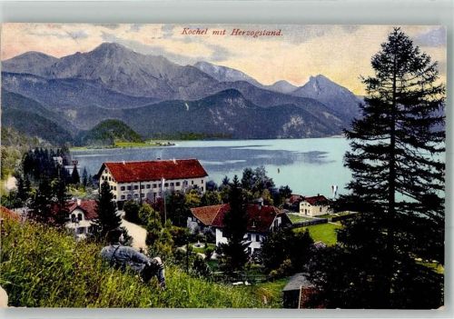 Kochel 1916 Wanderer über dem Ort am Kochelsee mit Herzogstand Verlag Purger & Co. No. 9115