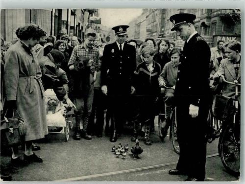Kopenhagen 1962 Straßenszene Enten Uniform