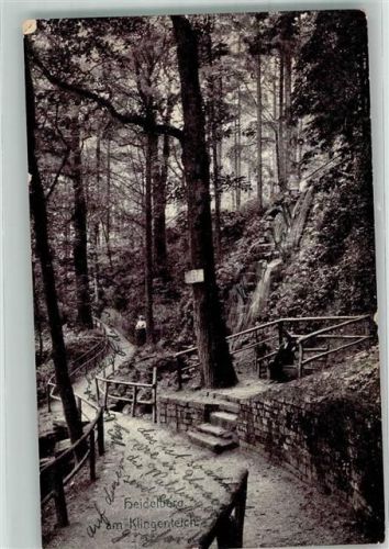 69115 W6900 Heidelberg , Neckar 1909 Foto AK Am Klingenteich