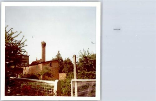 Kellinghusen Storchennest, Fotoabzug