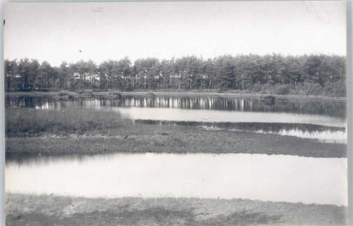29643 W3044 Schwalingen - Fotoabzug