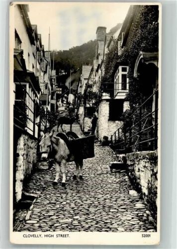 Clovelly Esel High Street