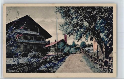 Mittelberg Straßenpartie am Ortseingang