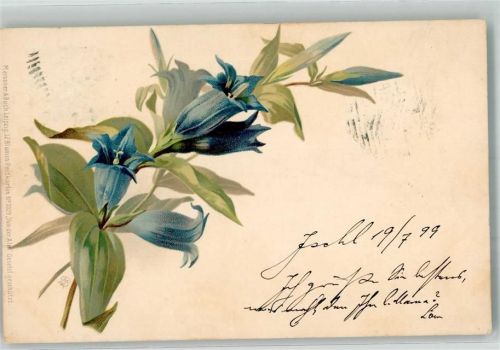 1899 Von der Alm No. 1029 Enzian