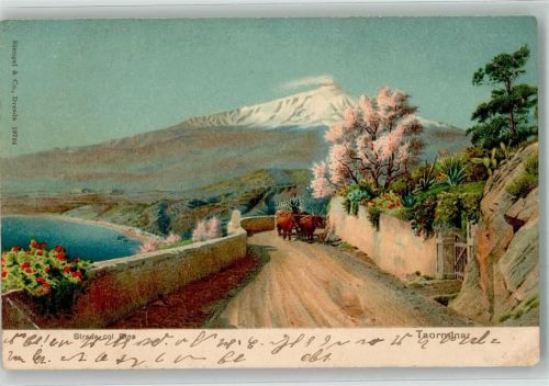 Taormina 1906 Ochsengespann unterhalb des Vulkan Aetna Nr. 19764