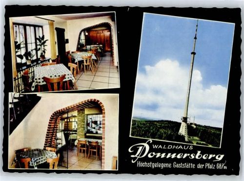 Dannenfels Waldhaus Donnersberg