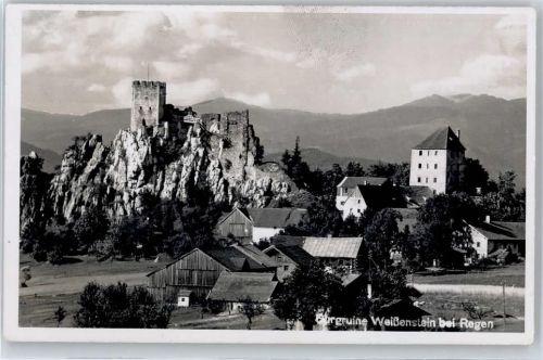 Regen Burgruine Weißenstein