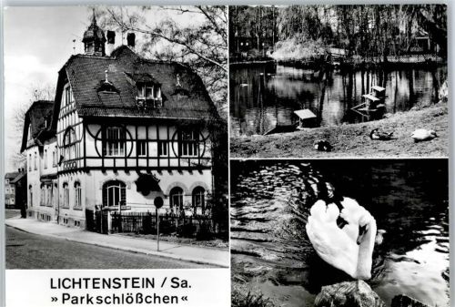 Lichtenstein Parkschlößchen, Schwan