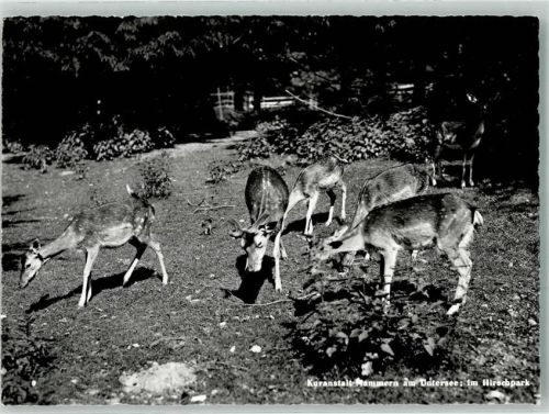 Mammern Foto J. Gaberell im Hirschpark Kuranstalt
