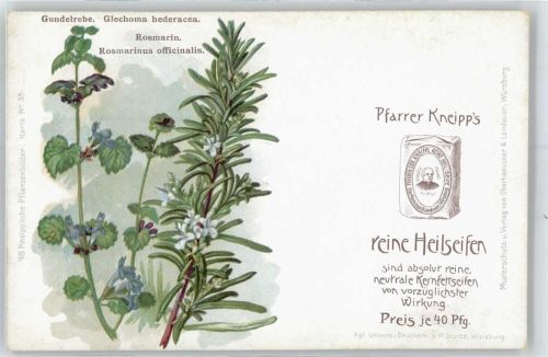 Bad Wörishofen Werbung: Pfarrer Kneipp´s reine Heilseifen, Gundelrebe, Rosmarin