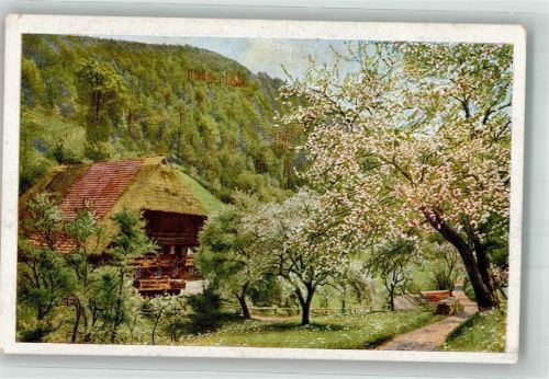 Altes landestypisches Bauernhaus zwischen blühenden Bäumen Farbenphotographische Gesellschaft Nr. 4417 Serie 246