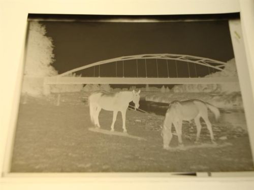 Salzbergen Negativ